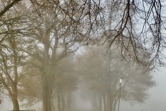 IMG_0067-scaled