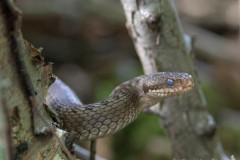 DSC_4898-scaled