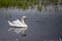DSC_4080-Verbessert-RR-2