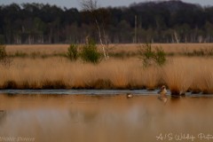 IMG_2015-scaled